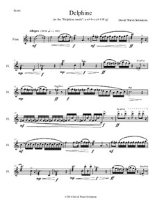 Delphine: For flute solo by David W Solomons