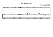Der Wiederhall: Der Wiederhall by Ernst Richter