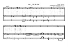Die Waise: Die Waise by Ernst Richter