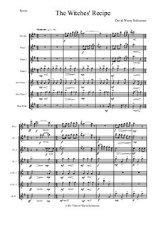 The Witches' Recipe: For flute choir by David W Solomons