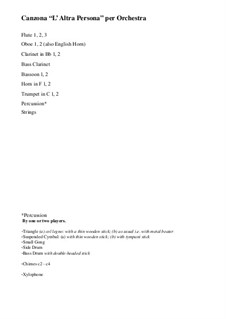 Canzona L'Altra Persona per orchestra: partitura by Hans Bakker