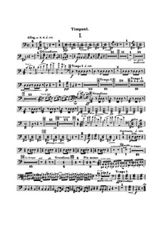 Concerto for Cello and Orchestra in B Minor, B.191 Op.104: parte percusão by Antonín Dvořák