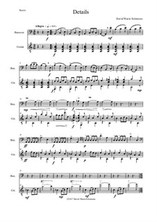Details: For bassoon and guitar by David W Solomons