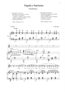 Napule e Surriento: For voice and piano (C-dur) by Ernesto Tagliaferri
