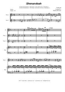 Oh Shenendoah (Shenandoah): Duet for flexible treble instrumentation by folklore