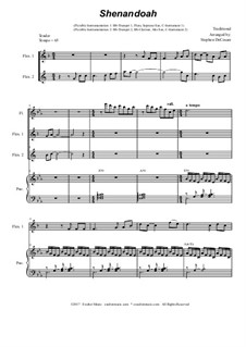 Oh Shenendoah (Shenandoah): Duet for flexible treble instrumentation by folklore