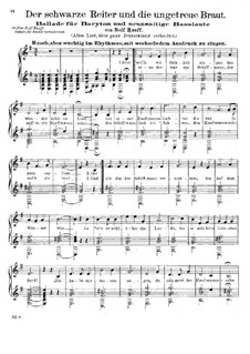 Der schwarze Reiter und die ungetreue Braut: Der schwarze Reiter und die ungetreue Braut by Rolf Rueff