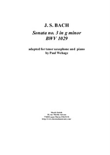 Sonata for Viola da Gamba and Harpsichord No.3 in G Minor, BWV 1029: Arrangement for tenor saxophone and piano by Johann Sebastian Bach