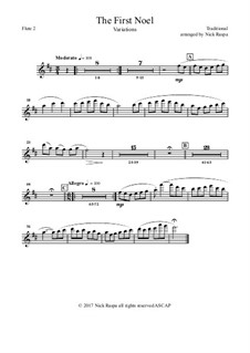 Variations: For full orchestra – flute 2 part by folklore