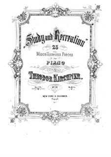 Etudes and Pieces, Op.30: set completo by Theodor Kirchner