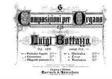 Six Compositions for Organ, Op.120: No.2 Elevazione (Elevation) by Luigi Bottazzo