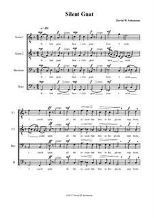 Vocal version: For TTBarB male voice choir by Franz Xaver Gruber