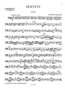 String Sextet in D Major, Op.40: parte violoncelo by Jan Brandts-Buys