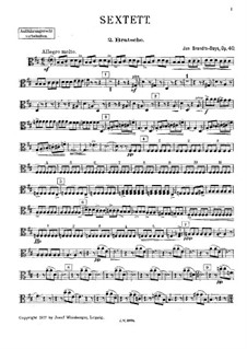 String Sextet in D Major, Op.40: viola parte II by Jan Brandts-Buys