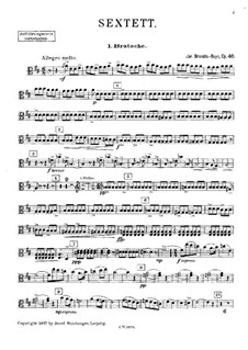 String Sextet in D Major, Op.40: viola parte I by Jan Brandts-Buys