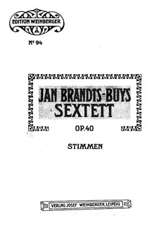 String Sextet in D Major, Op.40: violino parte I by Jan Brandts-Buys
