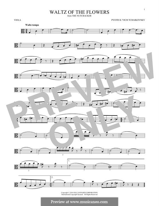No.8 Waltz of the Flowers: para viola by Pyotr Tchaikovsky