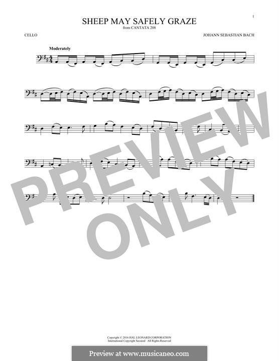 Sheep May Safely Graze (Printable Scores): para violoncelo by Johann Sebastian Bach