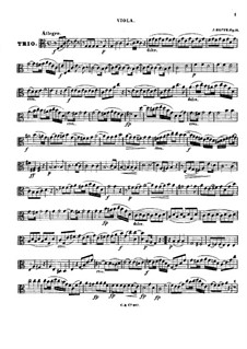 String Trio in C Major, Op.41: parte viola by Heinrich Julius Hopfe