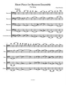 Short Piece for Bassoon Ensemble: Short Piece for Bassoon Ensemble by Chaz Privette