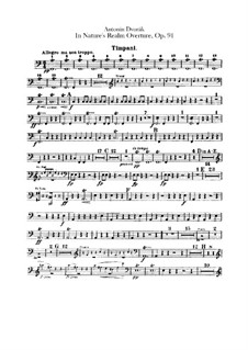 V přírodě (In Nature's Realm), B.168 Op.91: Parte percussão by Antonín Dvořák