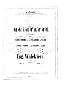 Quintet for Flute and Strings, Op.90: parte do violino by Eugène Walckiers