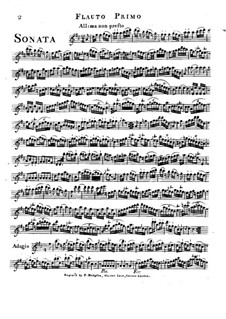 Trio Sonata in D Major: flauta parte I by Friedrich Hartmann Graf