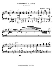 Prelude in C# Minor: Prelude in C# Minor by Mitch Boucher