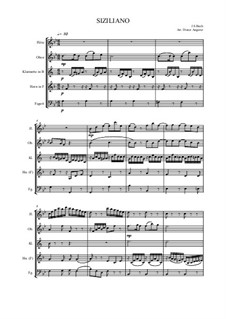 Sonata for Flute and Harpsichord No.2 in E Flat Major, BWV 1031: Siciliano. Arrangement for wind ensemble by Johann Sebastian Bach