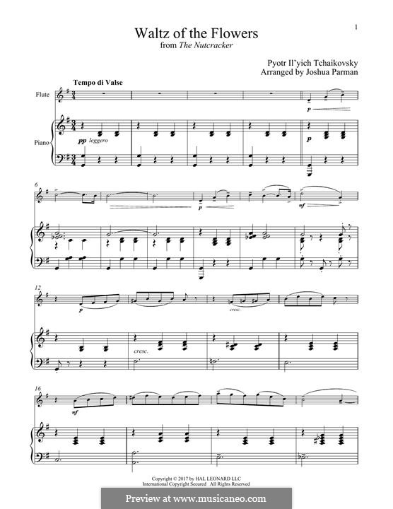 No.8 Waltz of the Flowers: para flauta e piano by Pyotr Tchaikovsky