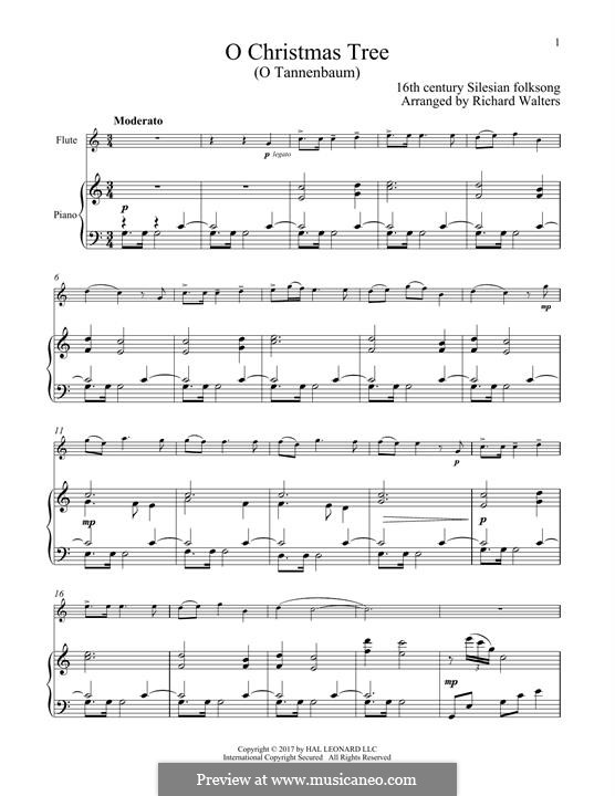 Vocal-instrumental version (printable scores): para flauta e piano by folklore