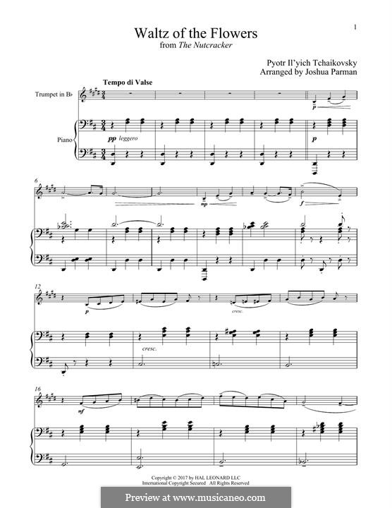 No.8 Waltz of the Flowers: para trompeta e piano by Pyotr Tchaikovsky