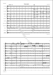 Passacaglia: Passacaglia by Roger Müller