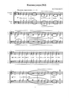 Плотию уснув (No.2): Плотию уснув (No.2) by Sergey Samusenko