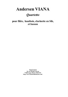 Quartet for flute, oboe, Bb clarinet and bassoon: Quartet for flute, oboe, Bb clarinet and bassoon by Andersen Viana