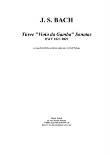 Three Sonatas for Viola da gamba and Harpsichord, BWV 1027-1029: Arrangement for bass clarinet and piano by Johann Sebastian Bach