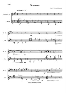 Nocturne: para clarinete e guitarra by David W Solomons