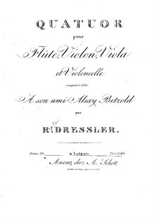 Quartet for Flute and Strings No.1 in D Minor, Op.30: parte flauta by Raphael Dressler