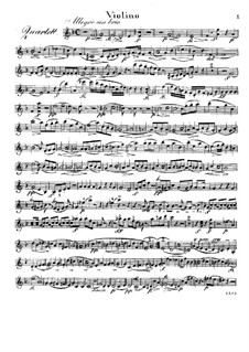 Quartet for Flute and Strings No.1 in D Minor, Op.30: parte do violino by Raphael Dressler