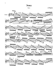 Spider: Spider by Dmitry Chernov