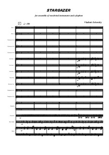 Stargazer: Stargazer by Vladimir Solonskiy