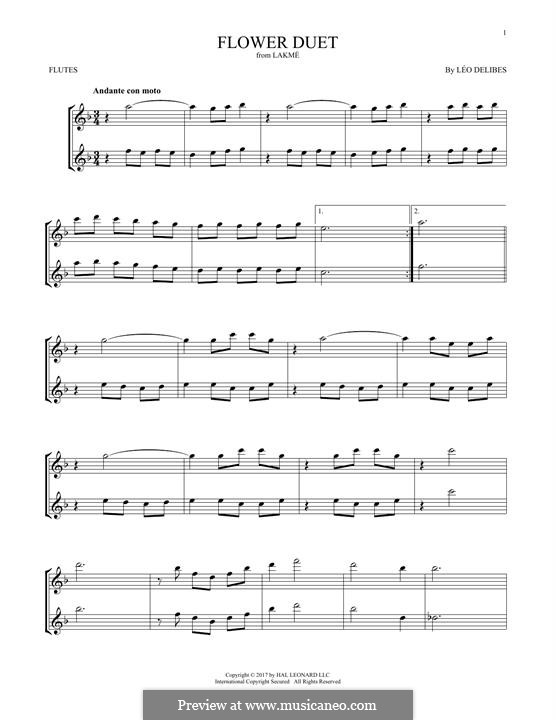 The Flower Duet: para duas flautas by Léo Delibes