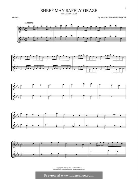 Sheep May Safely Graze (Printable Scores): para duas flautas by Johann Sebastian Bach