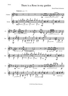 There is a Rose in my Garden: para clarinete e guitarra by David W Solomons