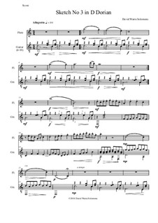 Sketch in D Dorian No.3: para flauta e guitarra by David W Solomons