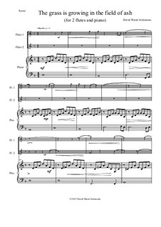 The grass is growing: For 2 flutes and piano by David W Solomons