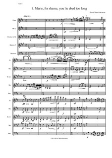 Sweet Suite: For wind quintet by David W Solomons