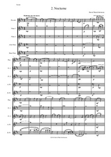 Sweet Suite: Nocturne for flute quintet (piccolo, 2 flutes, alto flute and bass flute) by David W Solomons