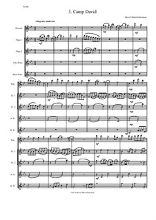 Sweet Suite: Camp David for flute quintet (piccolo, 2 flutes, alto flute and bass flute) by David W Solomons