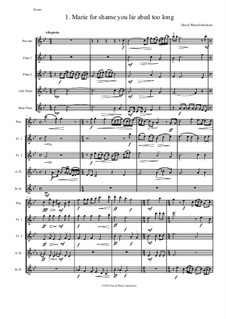 Sweet Suite: For flute quintet (piccolo, 2 flutes, alto flute and bass flute) by David W Solomons